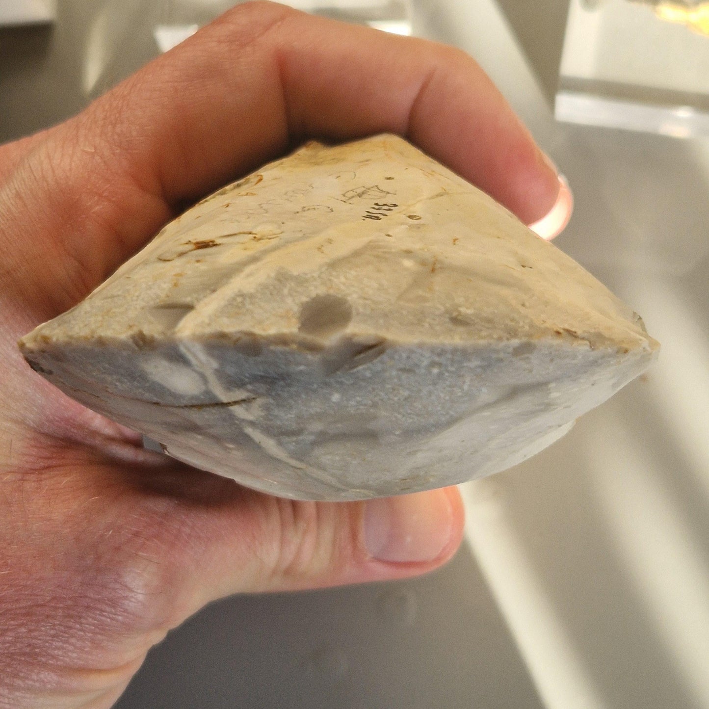 Polished Neolithic Flint Axe Head from Norfolk in the UK. Celt