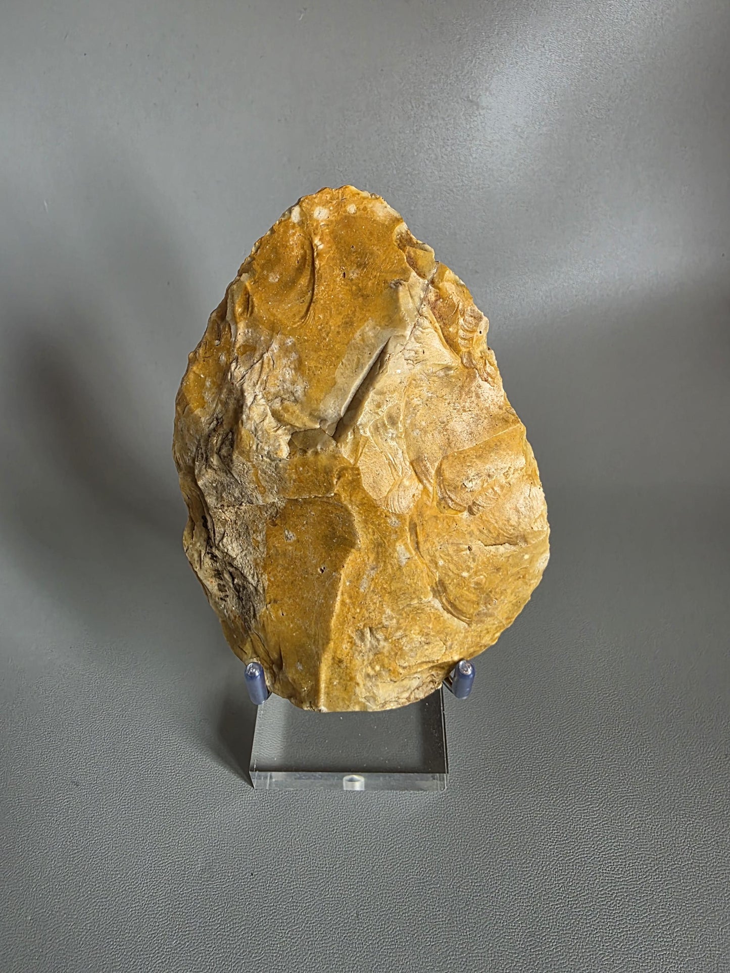 Museum Standard British Lower Palaeolithic Handaxe. Found 1901 in Farnham, Surrey. Ex Captain Streatfield Collection