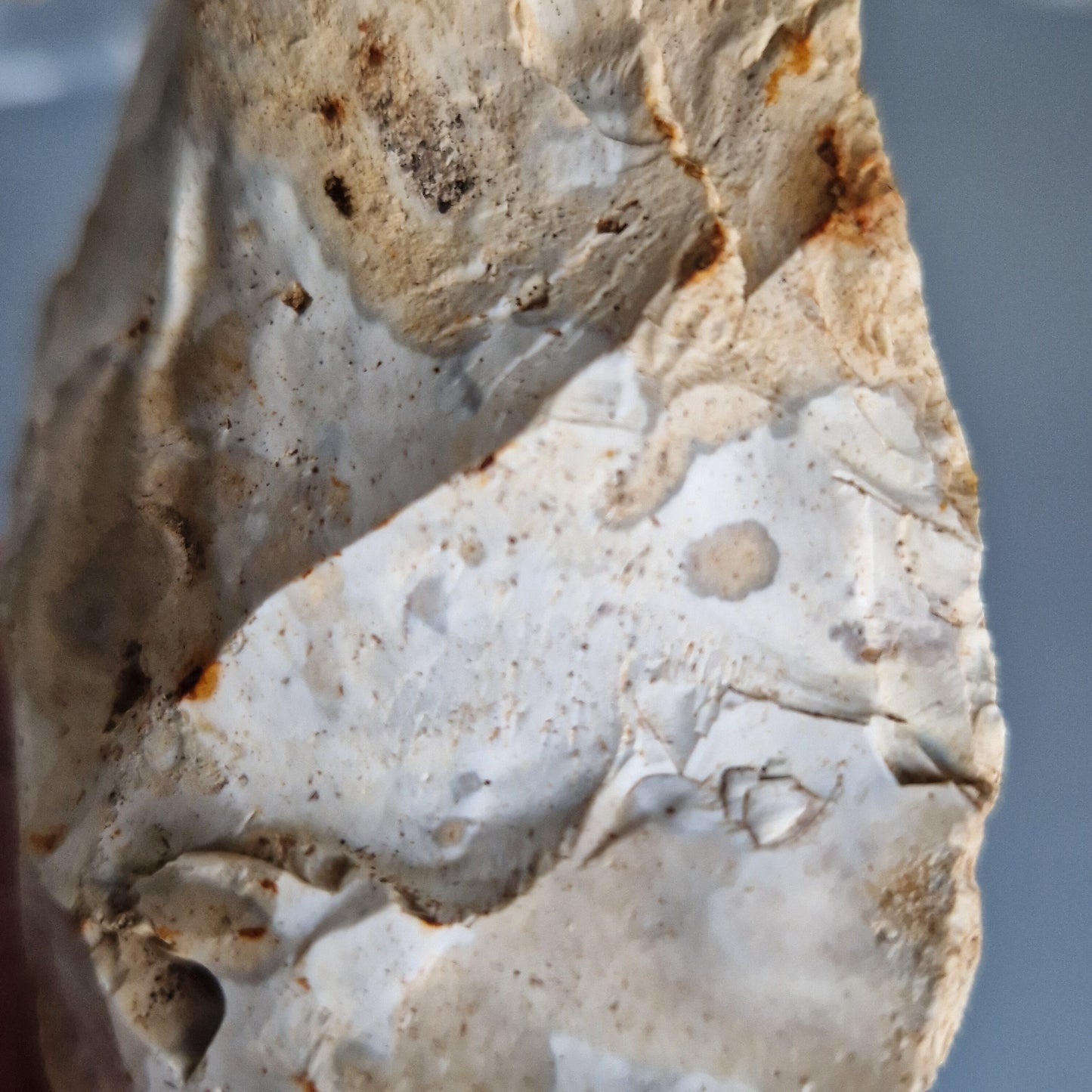 English Lower Palaeolithic Flint Handaxe From Ashmore, Dorset, England. UK Stone Age