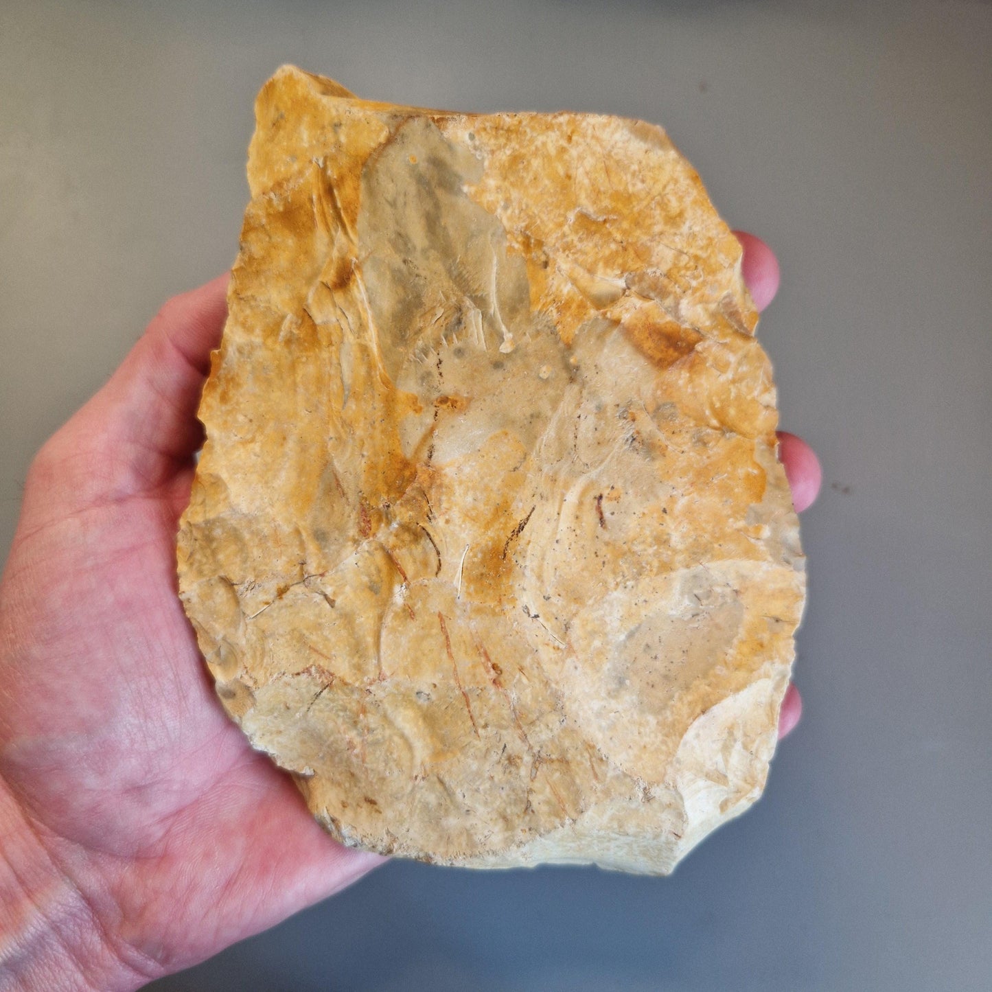 Huge English Lower Palaeolithic Flint Handaxe. Nr Dereham, Norfolk (Acheulean)