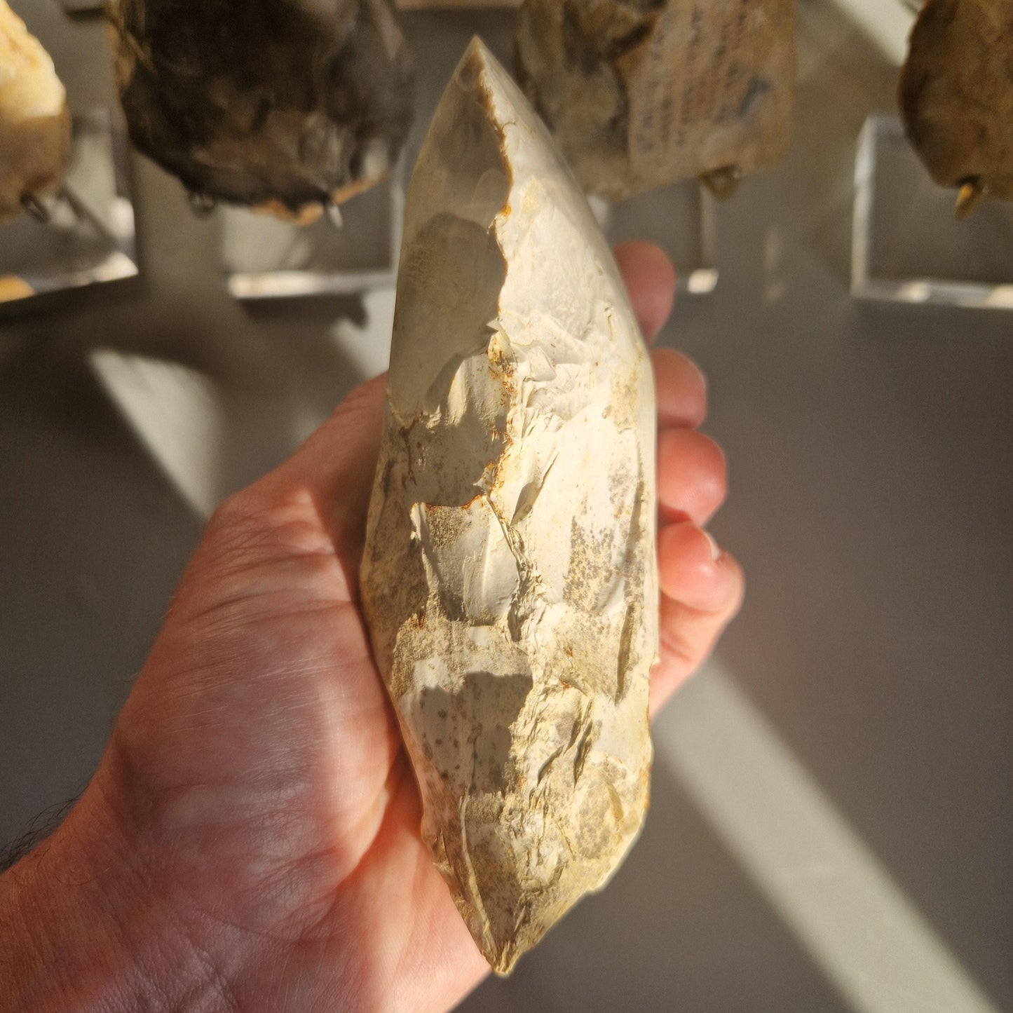 Polished Neolithic Flint Axe Head from Norfolk in the UK.  Celt