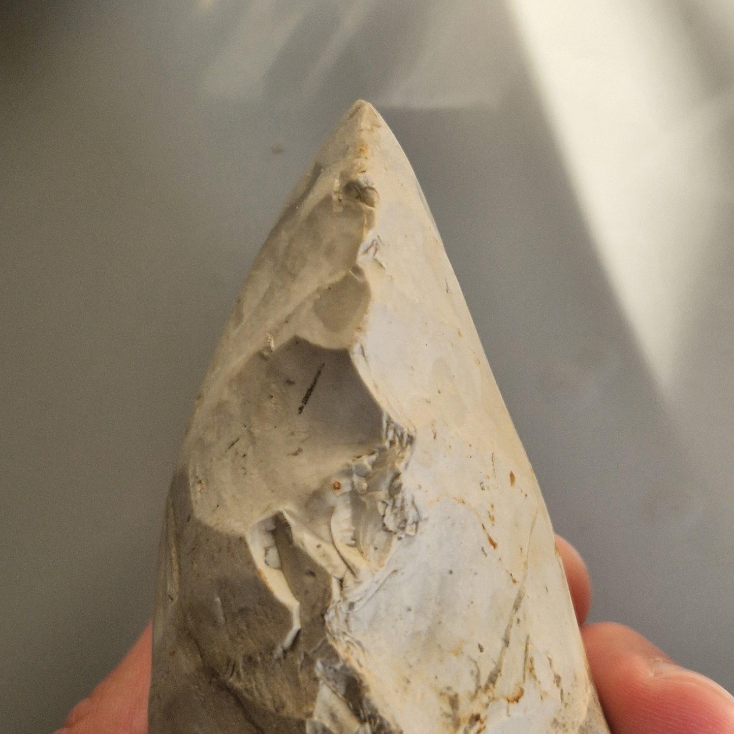 Polished Neolithic Flint Axe Head from Norfolk in the UK.  Celt