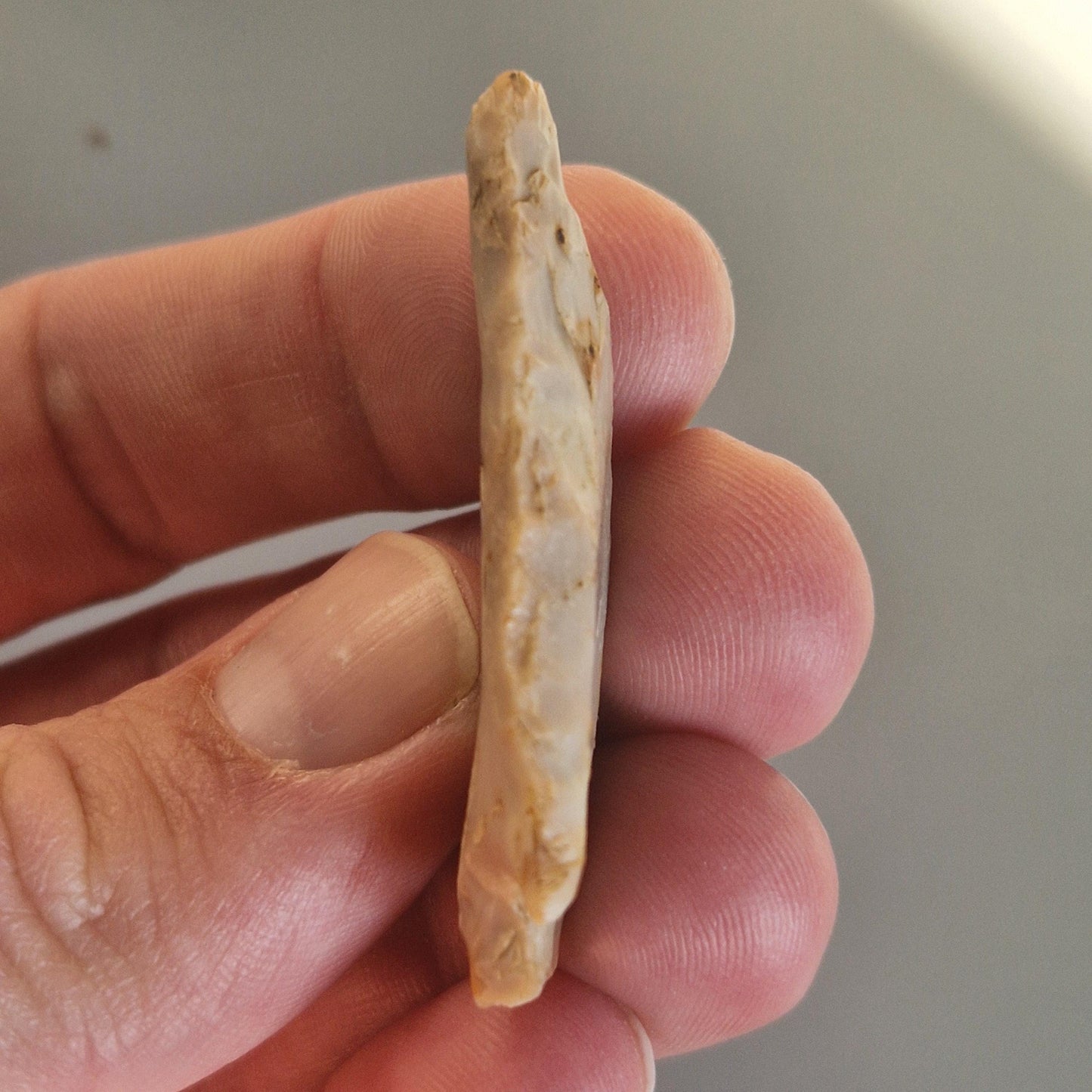 Arrowhead from Yorkshire -England. Barb and Tanged