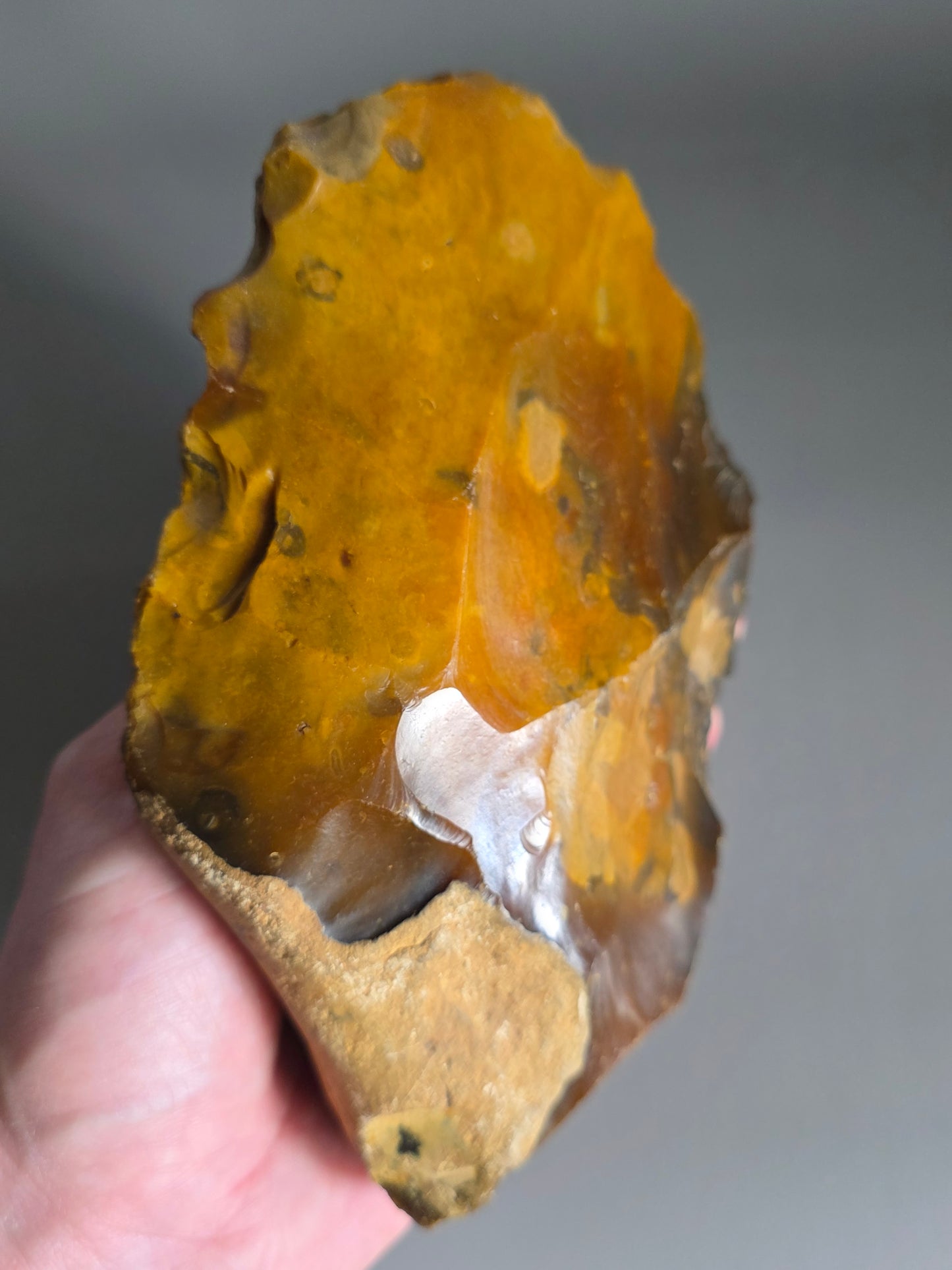 Huge Museum Standard British Lower Palaeolithic Flint Handaxe. Found 1901 in Farnham, Surrey. Ex Captain Streatfield Collection